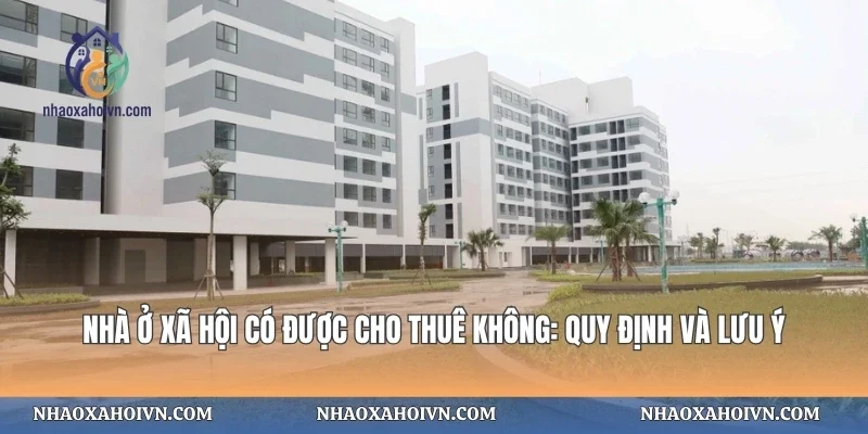 Nhà Ở Xã Hội Có Được Cho Thuê Không